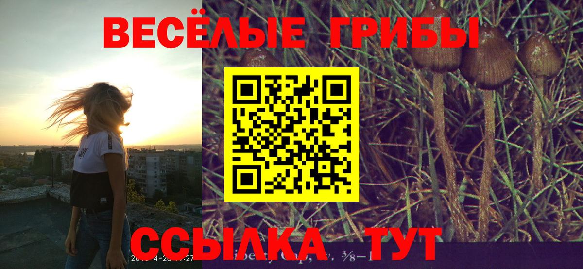 Псилоцибиновые грибы GOLDEN TEACHER  Вход с VPN  Кизилюрт 