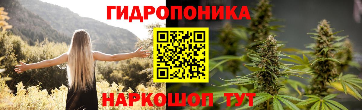Бошки Шишки сатива Кизилюрт